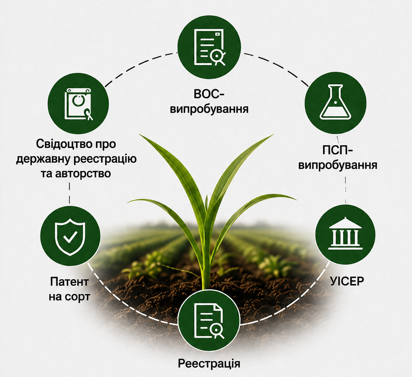 SEEDLAW