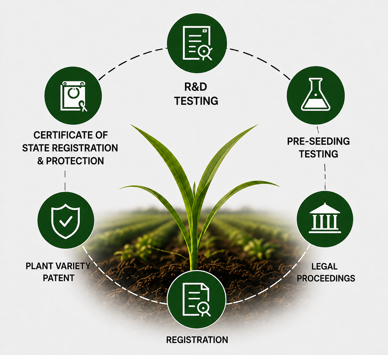 SEEDLAW